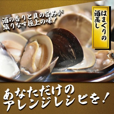 【かながわブランド認定品】大粒!湘南はまぐり 1.4kg(1袋あたり5~6個入り)