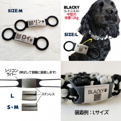 犬 迷子札 2点セット 組合わせ自由 QRコード対応 ステンレス シリコンラバー 犬ネームプレート