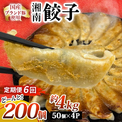 【毎月定期便】湘南生餃子 200個(50個×4P)約4kg 国産ブランド豚・野菜使用　全6回