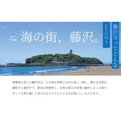 クッキー8種詰め合わせセット(マイスターゲベック)