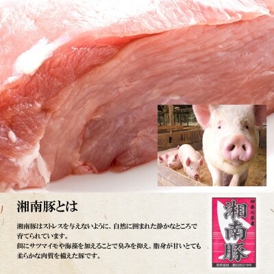 【神奈川県産豚】湘南豚　切り落とし　1.5kg