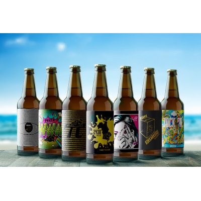 クラフトビール 2～3種類 330ml 5本詰め合わせセット