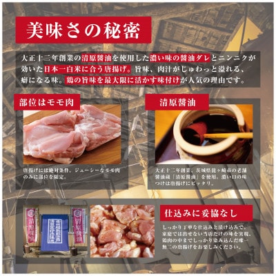 【 訳あり 】唐揚げ 2kg(50g×40個)レンジで簡単調理!冷凍便でお届けします。