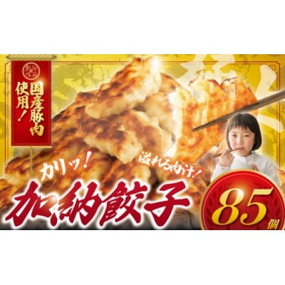 冷凍餃子(ぎょうざ)85個　レンジで簡単調理!冷凍便でお届けします。