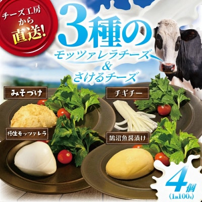 モッツァレラ3種+チギチー チーズ4種セット