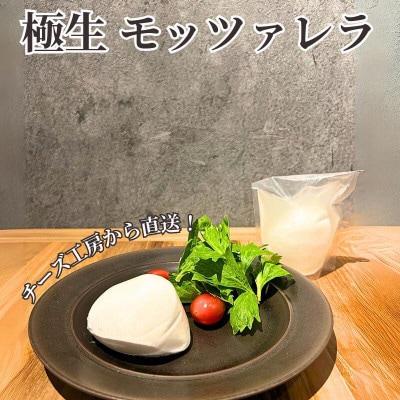 モッツァレラ3種+チギチー チーズ4種セット