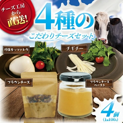 ブラウンチーズ入りチーズセット 4種