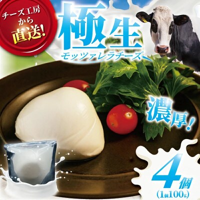 極生モッツァレラチーズ 4個