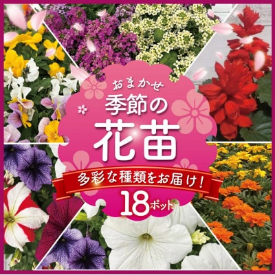 【生産農場直送】季節の花苗 おまかせ 18ポット