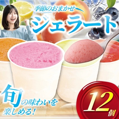 季節のおまかせ!手作りジェラート 4種類 120ml×12個セット