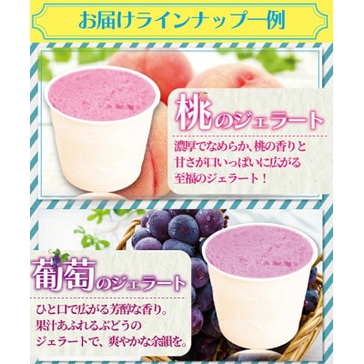 季節のおまかせ!手作りジェラート 4種類 120ml×12個セット