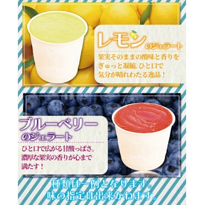 季節のおまかせ!手作りジェラート 4種類 120ml×12個セット