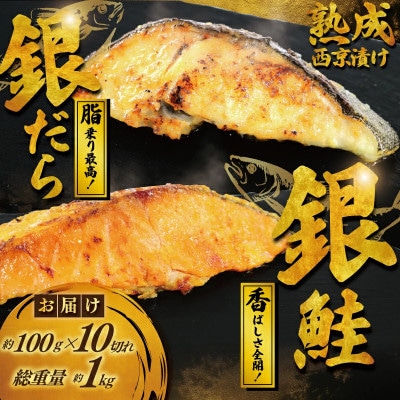 銀鱈 銀鮭 西京漬けセット 2パック 約1kg(1パック 約100g×5切 約500g)