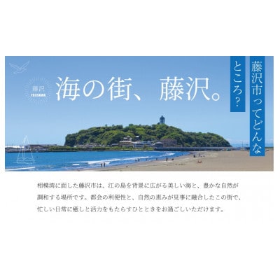 サーフボードリペアチケット　3,000円分