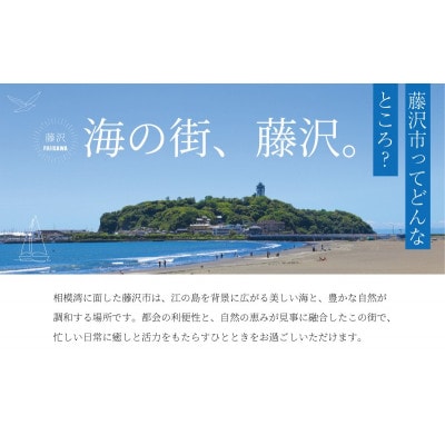 アウトリガーカヌー体験