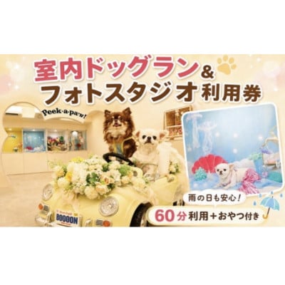 BOOOON湘南辻堂 ふるさと納税限定プラン 60分利用券(わんちゃん用おやつ付き)