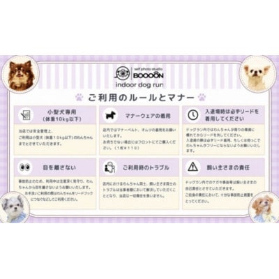 BOOOON湘南辻堂 ふるさと納税限定プラン 60分利用券(わんちゃん用おやつ付き)