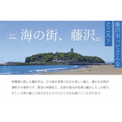BOOOON湘南辻堂 ふるさと納税限定プラン 60分利用券(わんちゃん用おやつ付き)
