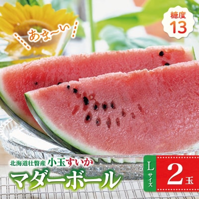 【2027年発送】小玉すいか (マダーボール)Lサイズ2玉 SBTN002