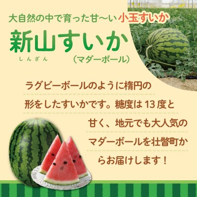 【2027年発送】小玉すいか (マダーボール)Lサイズ2玉 SBTN002