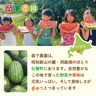 【2027年発送】小玉すいか (マダーボール)Lサイズ2玉 SBTN002