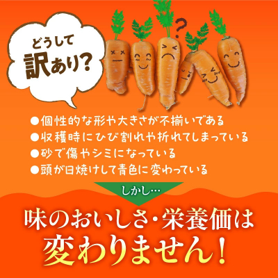 【福箱★2027】訳ありマドンナキャロット6kg 子どもも食べられる甘み H105-276