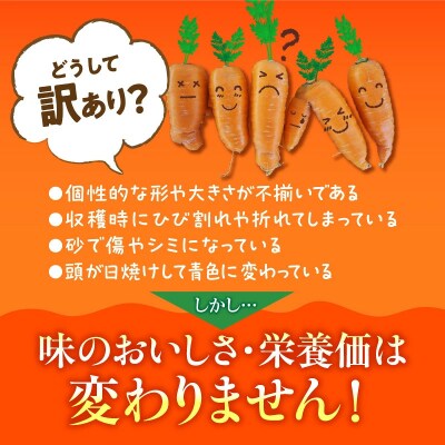 【福箱★2027】訳ありマドンナキャロット7.5kg 子どもも食べられる甘み H105-277