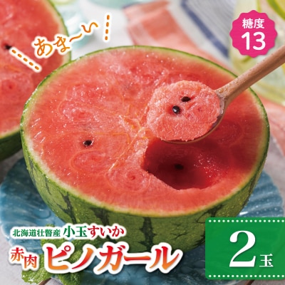 【2027年発送】小玉すいか(赤肉・ピノガール)2玉約3kg SBTN004