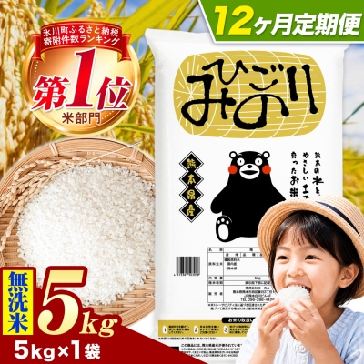 【12ヶ月定期便】ひごみのり 無洗米 熊本県産 ブレンド米 5kg《お申込み翌月から出荷》