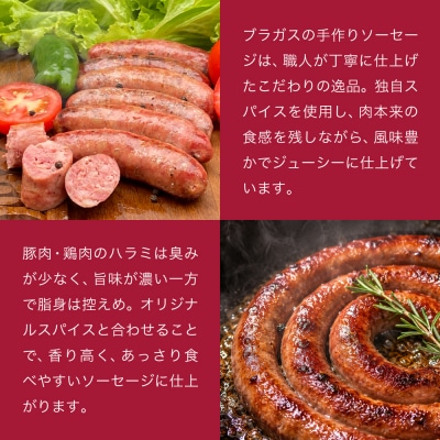 ブラガスソーセージセット・ガーリック&スパイシー/バーベキュー キャンプ  冷凍 焼肉