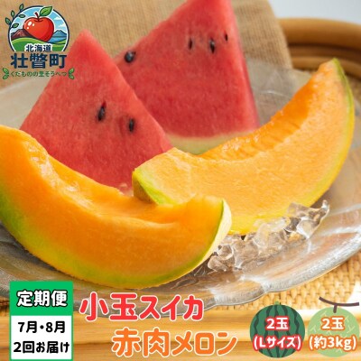 【2027年発送】【2回定期便】旬のフルーツ定期便<7月下旬・8月上旬お届け> SBTN011