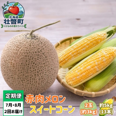 【2027年発送】【2回定期便】旬のフルーツ・野菜定期便<7月下旬・8月上旬お届け>SBTN012