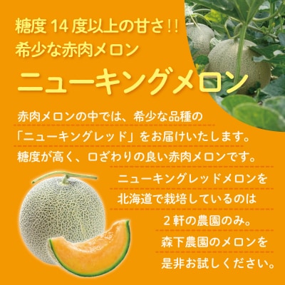 【2027年発送】【2回定期便】旬のフルーツ・野菜定期便<7月下旬・8月上旬お届け>SBTN012