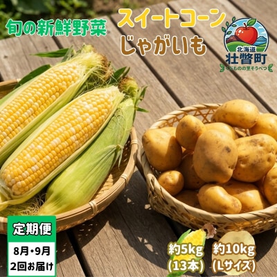【2027年発送】【2回定期便】旬の野菜定期便<8月上旬・9月下旬お届け>SBTN013