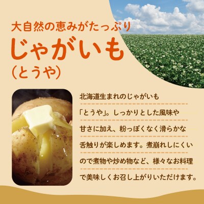 【2027年発送】【2回定期便】旬の野菜定期便<8月上旬・9月下旬お届け>SBTN013