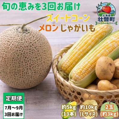 【2027年発送】【定期便3回】旬のフルーツ・野菜定期便<7月・8月・9月お届け>SBTN014