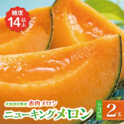 【2027年発送】赤肉メロン(ニューキングメロン)2玉 約3kg SBTN003