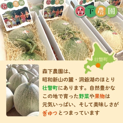 【2027年発送】赤肉メロン(ニューキングメロン)2玉 約3kg SBTN003