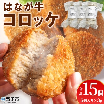 <花香牛コロッケ 計15個オリジナル おつまみ お肉 牛肉　はなが牛>