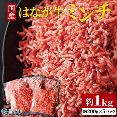 健美 花香牛　ミンチ　1kg　(200gx5p)　ゆうぼく　