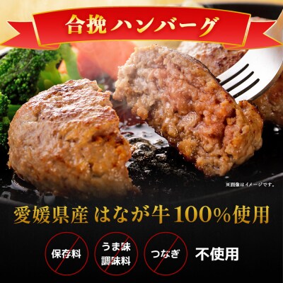 <【花香牛×国産豚】合挽ハンバーグセット 10個(1個150g)> セット ハンバーグ 
