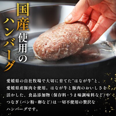 <【花香牛×国産豚】合挽ハンバーグセット 10個(1個150g)> セット ハンバーグ 