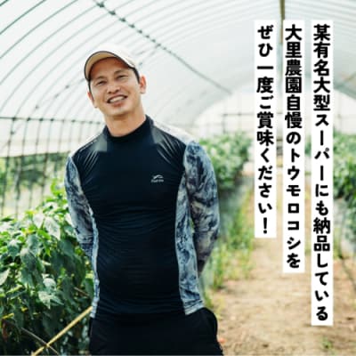 先行受付 7月上旬以降発送 朝採り トウモロコシ (ゴールドラッシュ) 約6kg[SF018ya]