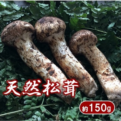 【期間限定】岩手県産 天然松茸 つぼみ 約150g 松茸 国産 厳選 数量限定