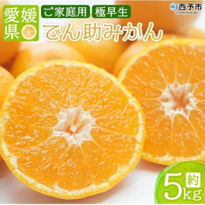 愛媛県西宇和産　でん助みかん(極早生)5kg　ご家庭用
