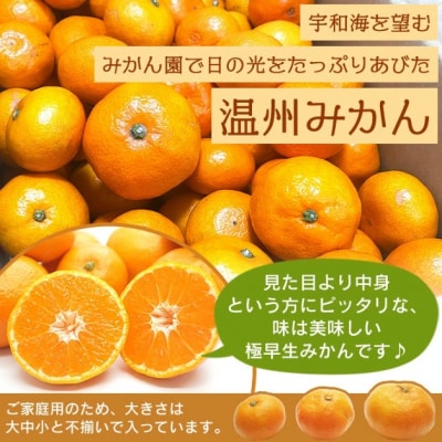 愛媛県西宇和産　でん助みかん(極早生)5kg　ご家庭用