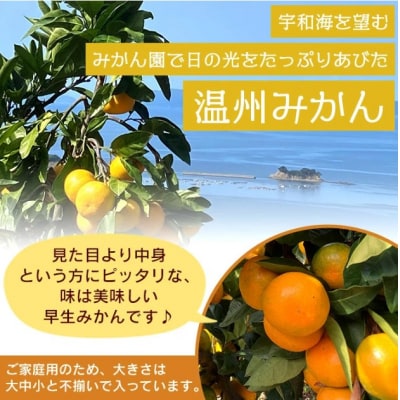 愛媛県西宇和産　でん助みかん(早生) 5kg　ご家庭用