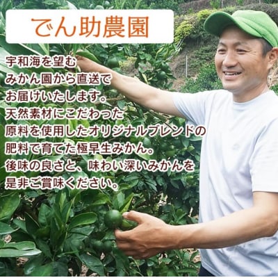 愛媛県西宇和産　でん助みかん(早生) 5kg　ご家庭用