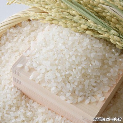 【令和8年産】淡路島 南あわじ産　新米(きぬむすめ)　5kg
