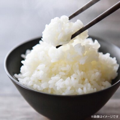【令和8年産】淡路島 南あわじ産　お米(きぬむすめ)　10kg